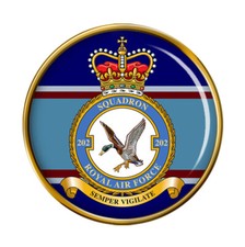 202 Squadron, RAF Pin Badge