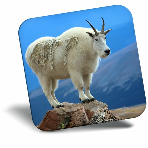 Awesome fridge magnet cute - fridge,