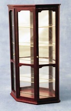 Dolls house display - dolls, case