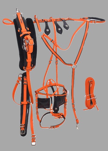 Quick hitch pvc trotting - quick,