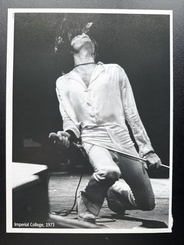 Freddie mercury queen - freddie,