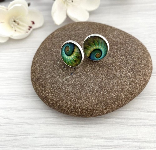 Ammonite fossil print small - fossil,