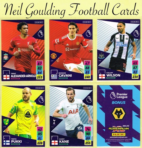 Panini adrenalyn - adrenalyn, xl