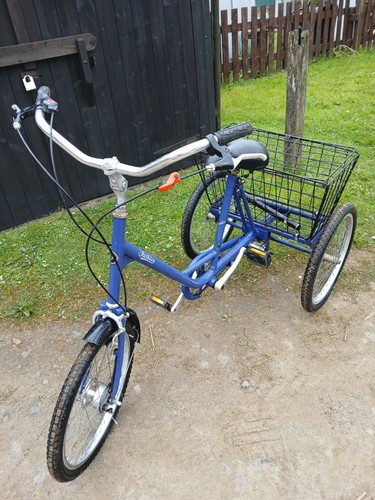 Pashley picador tricycle adult - pashley,
