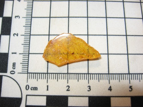 Pliocene amber kenya - pliocene, africa