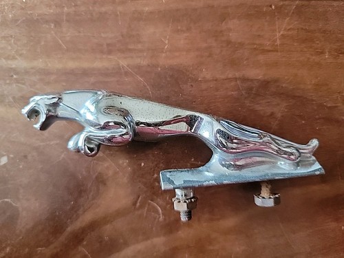 Small jaguar hood ornament - hood,