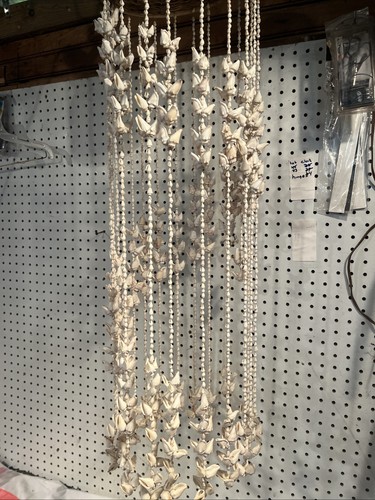 Vintage sea shell - sea,