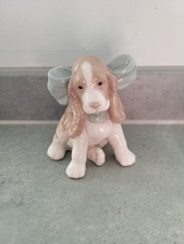   NAO-Spain, 1999 Puppy