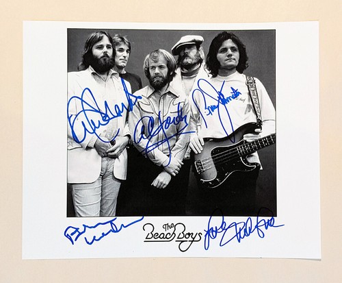 The beach boys - the,