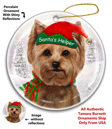 Yorkie santa helper - helper, holiday
