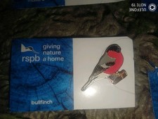 RSPB Pin Badge NIIC Bullfinch
