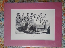 Charles Tunnicliffe, Artist -