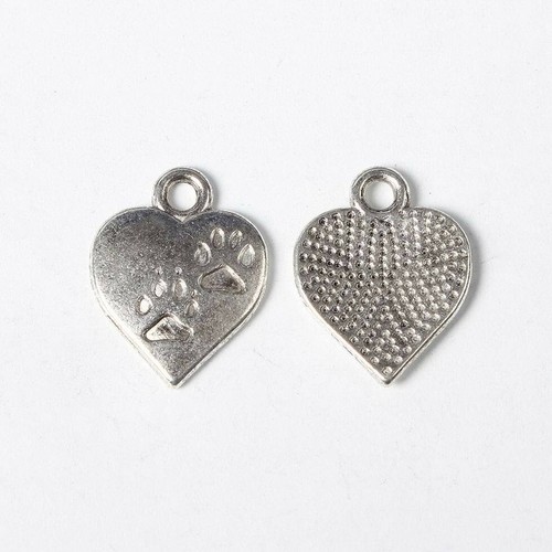 Tibetan silver paw - silver,