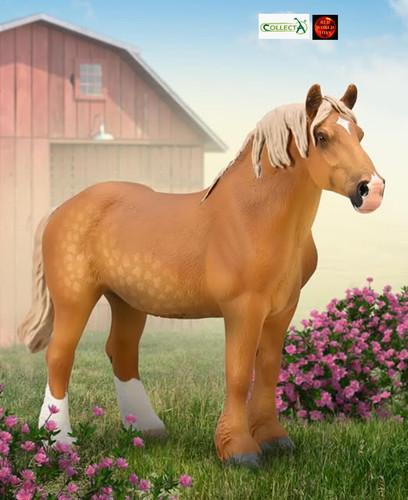 Belgian mare horse - mare, model
