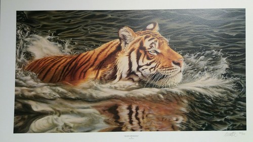 Tiger limited edition river - limited,