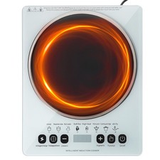Portable Electric Induction