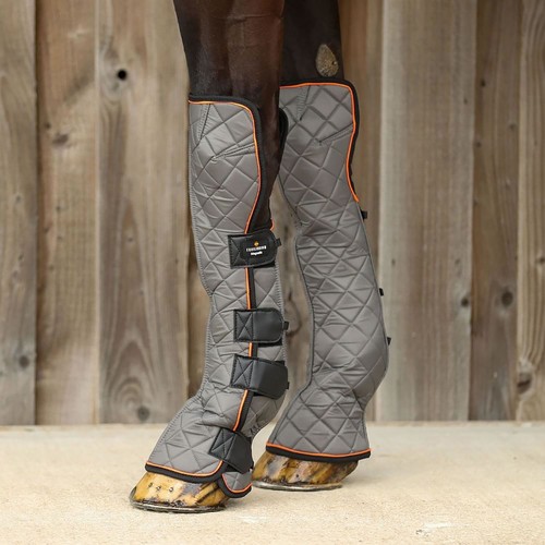 Equilibrium fore knee - fore, &