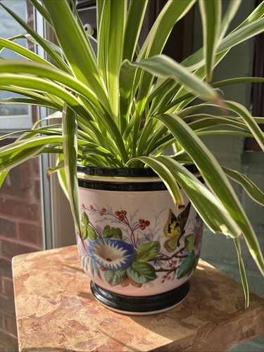 Stunning antique french hand - french,