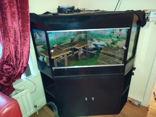 Reptile vivarium black corner - reptile,