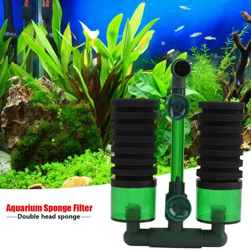 Aaquarium double head - double,