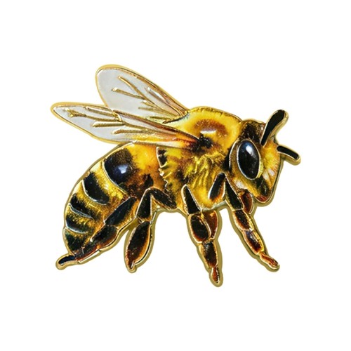 Insect brooch pin - insect,
