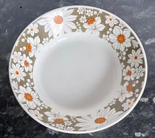 vintage retro Midwinter