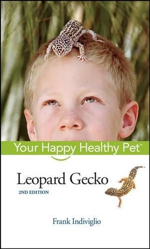 Leopard gecko happy healthy - gecko,