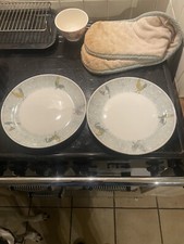 Queens Barnyard Chickens