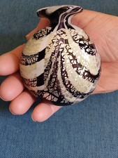 Beautiful Purple Black , White