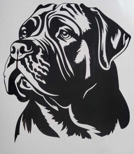 Dogue bordeaux mastiff - de,