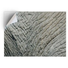 1 x Vinyl Sticker A4 -