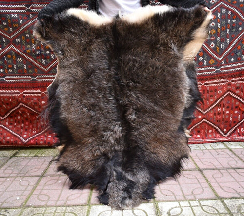 Angora goat leather - goat, goatskin