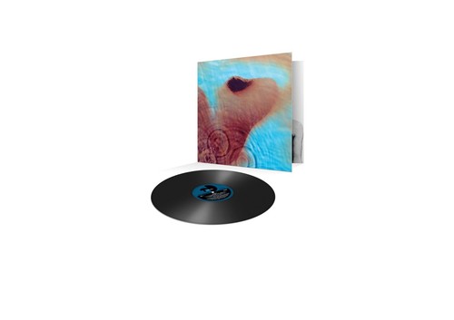 Pink floyd meddle vinyl - pink, lp