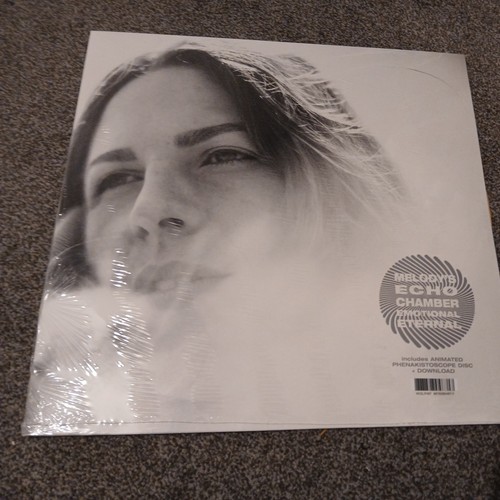 Melody echo chamber - echo,