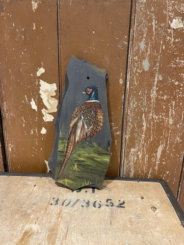 Game bird pheasant - bird, slate