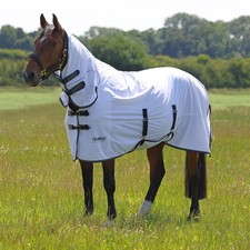 9322 - Shires Tempest Original
