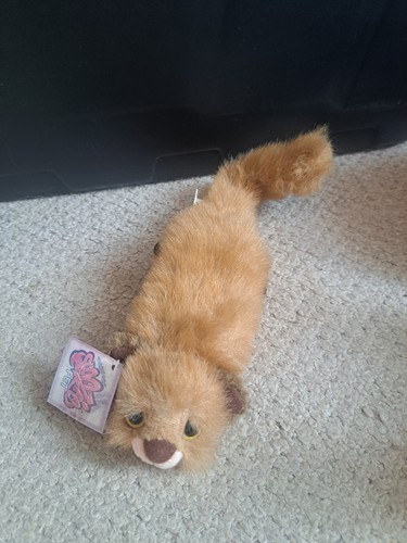 Scoozie pet baby - pet,