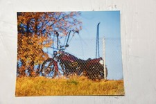 8x10 inch autumn photo of a