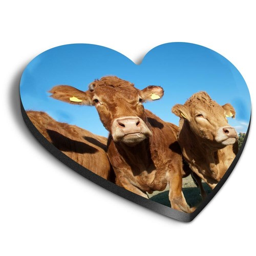 Heart mdf magnets - mdf,