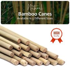 Bamboo Canes Garden 120cm