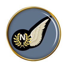 Navigator, RAF Pin Badge