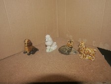 Wade Whimise Dogs Including Poodle