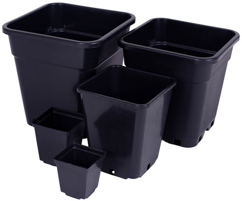 Black plastic plant pots - plastic,