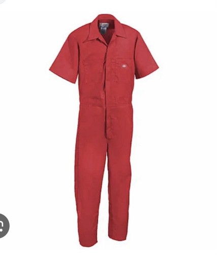 Dickies men short sleeve - men’s,