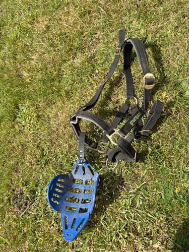Green guard grazing muzzle - green,