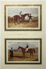 Pair of Horse Prints
