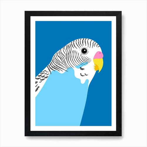 Blue budgie art - budgie,