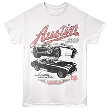 Austin healey 3000 men t - healey,