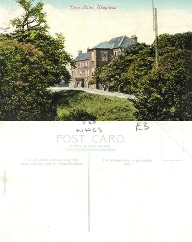 Vintage postcard vine - vine, hotel
