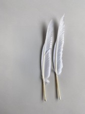 2 Extra Large White Goose Feathers Arts Crafts Hat Costume [FREE P&P]
